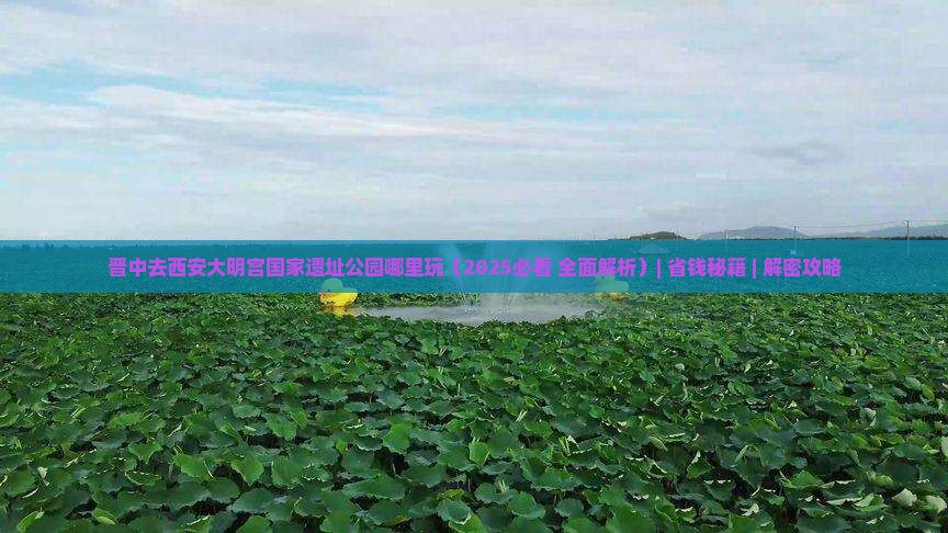晋中去西安大明宫国家遗址公园哪里玩