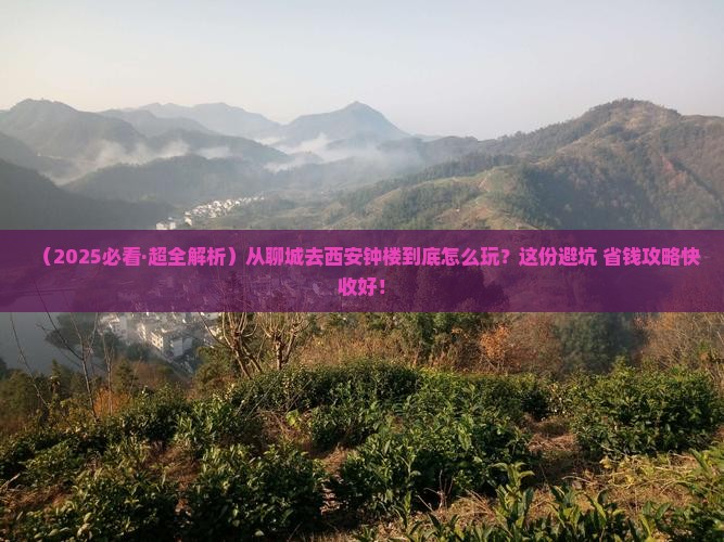 聊城到西安钟楼哪里玩