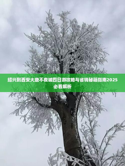 绍兴到西安大唐不夜城四日游