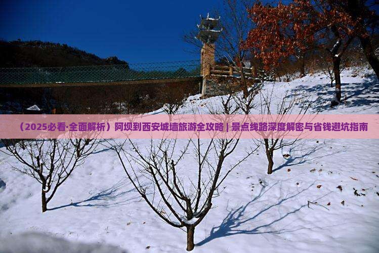 阿坝去西安城墙团体旅游