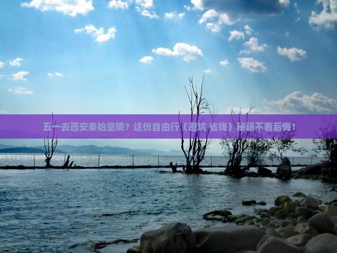 劳动节去西安秦始皇帝陵博物院自由行