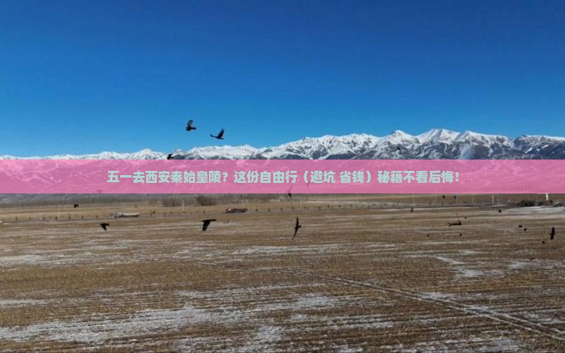 劳动节去西安秦始皇帝陵博物院自由行