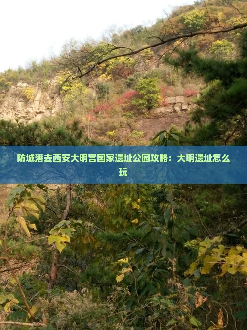 防城港去西安大明宫国家遗址公园哪里玩