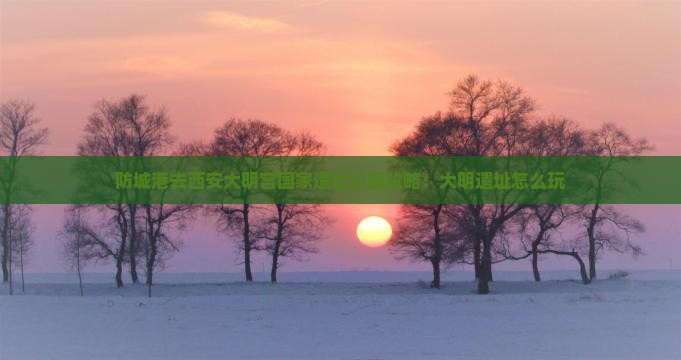 防城港去西安大明宫国家遗址公园哪里玩