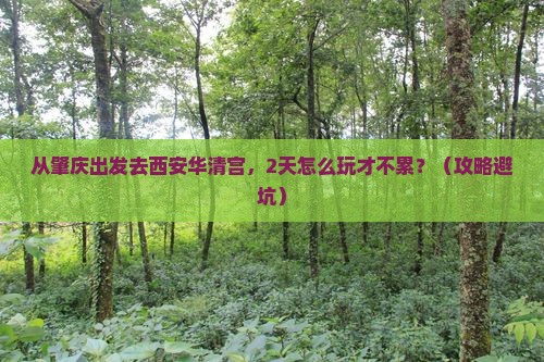 肇庆去西安华清宫二日游