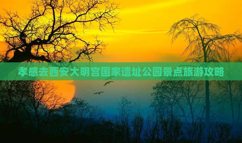 孝感去西安大明宫国家遗址公园景点
