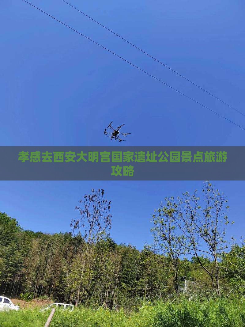 孝感去西安大明宫国家遗址公园景点