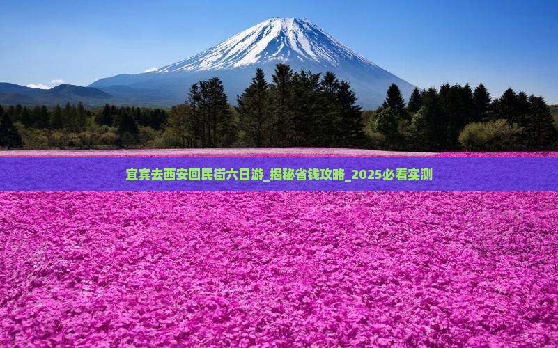 宜宾去西安回民街六日游