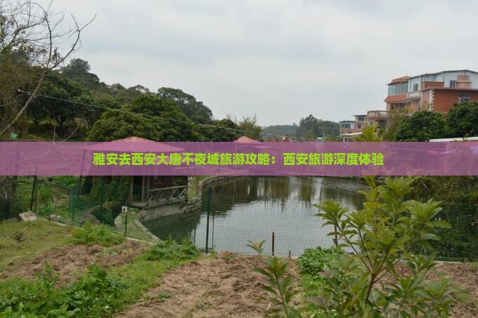 雅安去西安大唐不夜城旅游