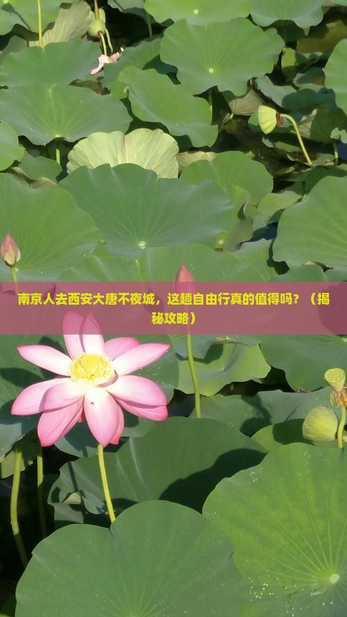 南京去西安大唐不夜城自由行