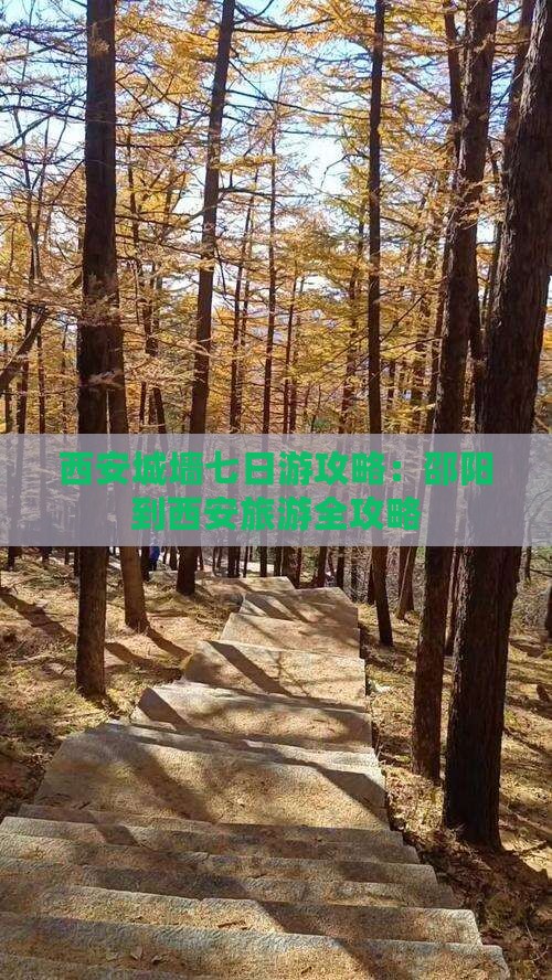 邵阳到西安城墙七日游