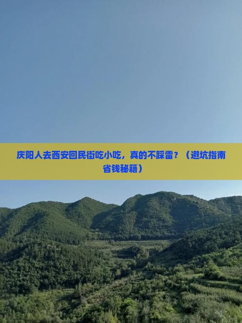 庆阳去西安回民街旅游小吃