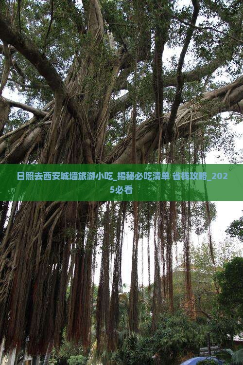 日照去西安城墙旅游小吃
