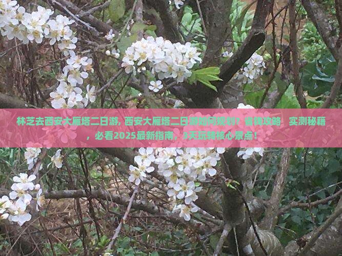 林芝去西安大雁塔二日游