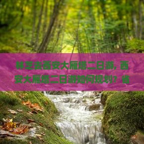 林芝去西安大雁塔二日游