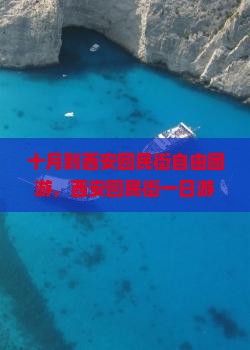 十月到西安回民街自由团