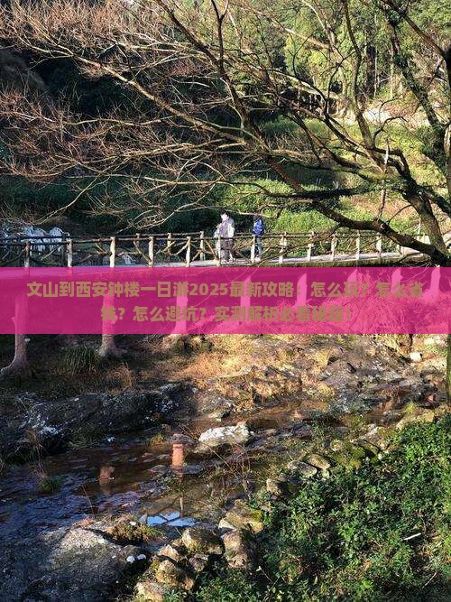 文山到西安钟楼一日游