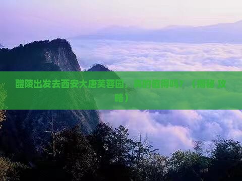 醴陵到西安大唐芙蓉园旅游