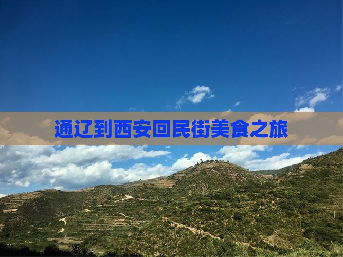 通辽到西安回民街旅游小吃
