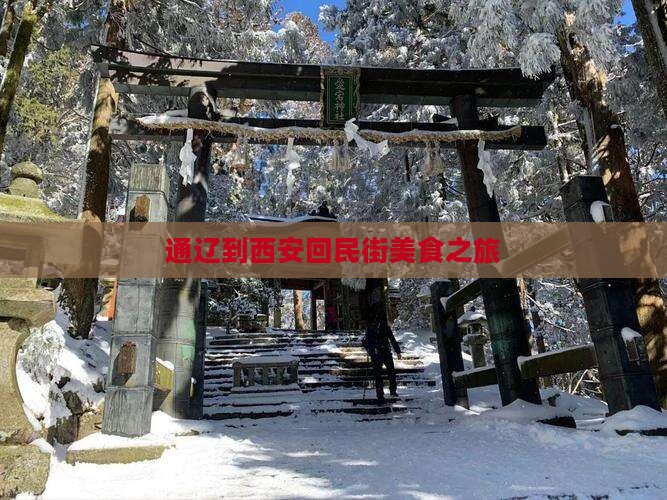 通辽到西安回民街旅游小吃