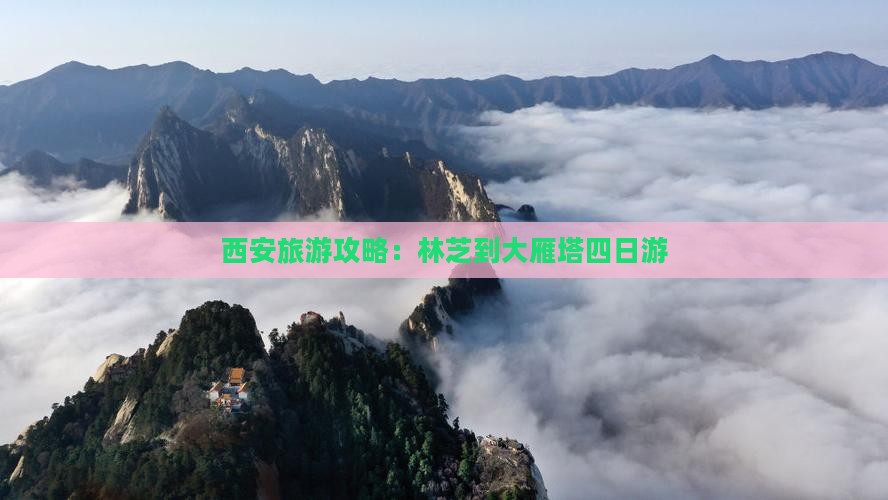 林芝去西安大雁塔四日游