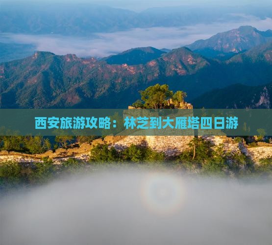 林芝去西安大雁塔四日游