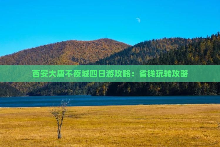 一月到西安大唐不夜城四日游
