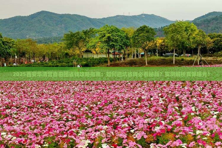 白银去西安华清宫自由团 白银去西安华清宫自由团