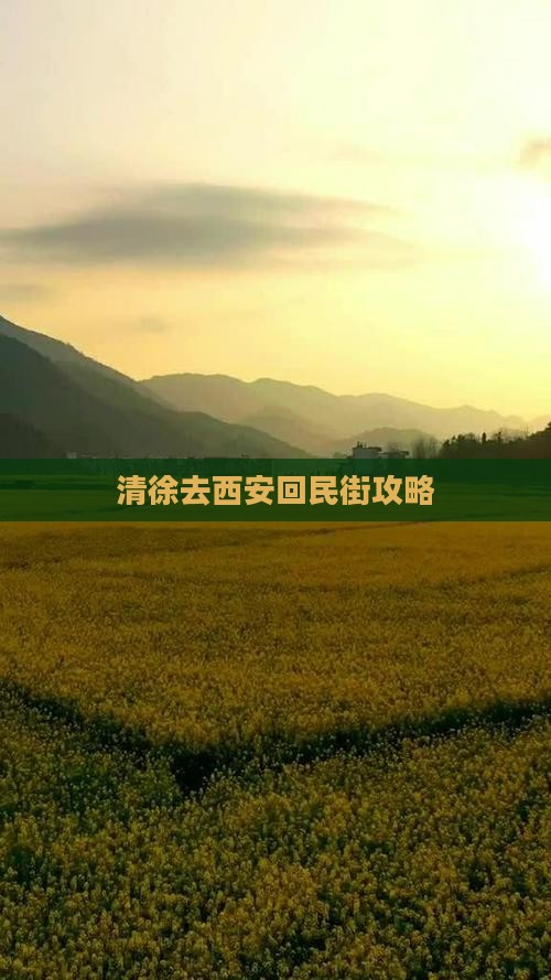 清徐去西安回民街攻略
