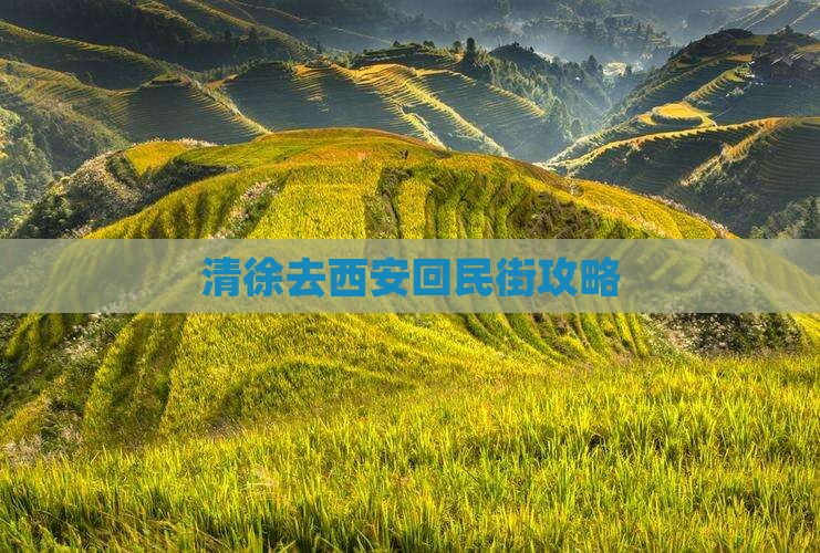 清徐去西安回民街攻略