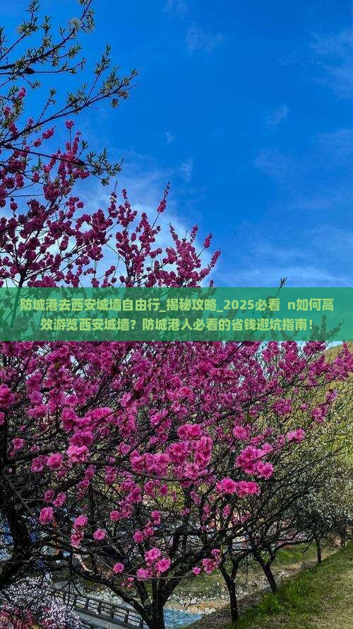 防城港去西安城墙自由行 防城港去西安城墙自由行