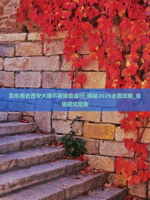 黔东南去西安大唐不夜城自由行
