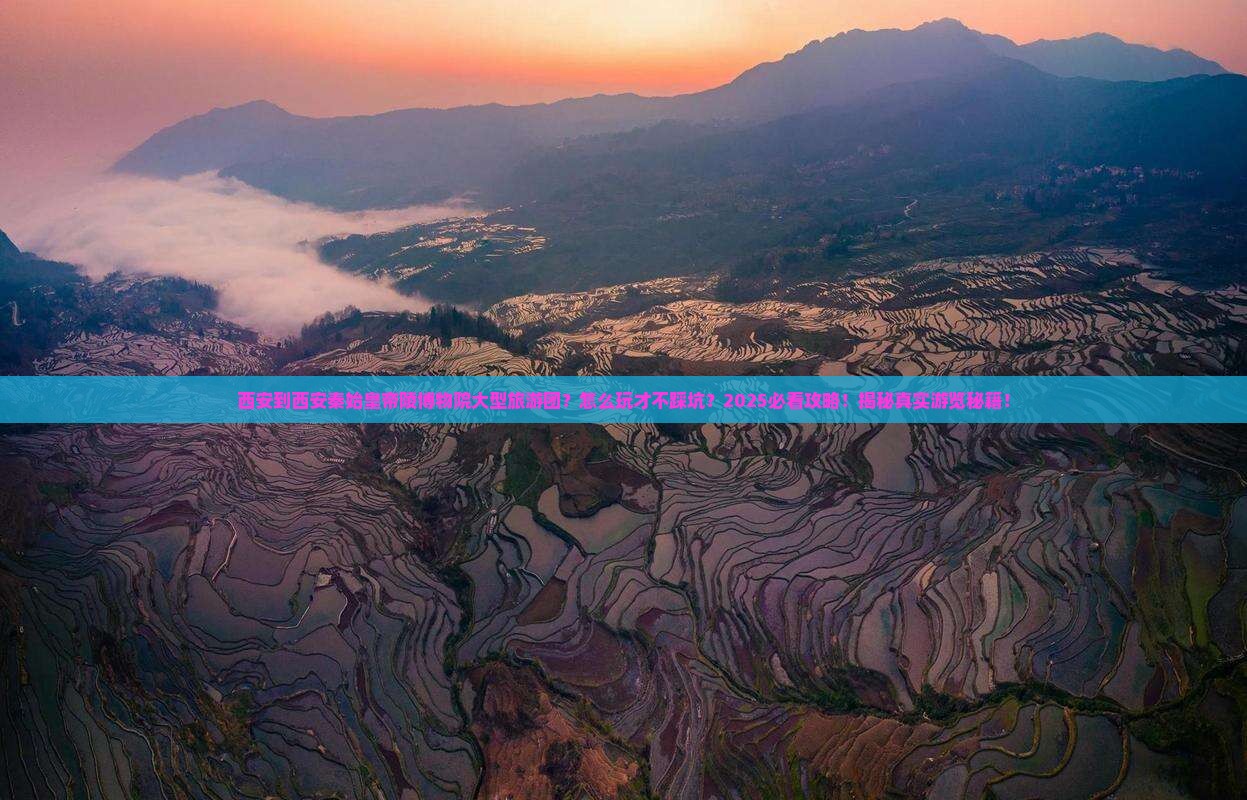 西安到西安秦始皇帝陵博物院大型旅游团