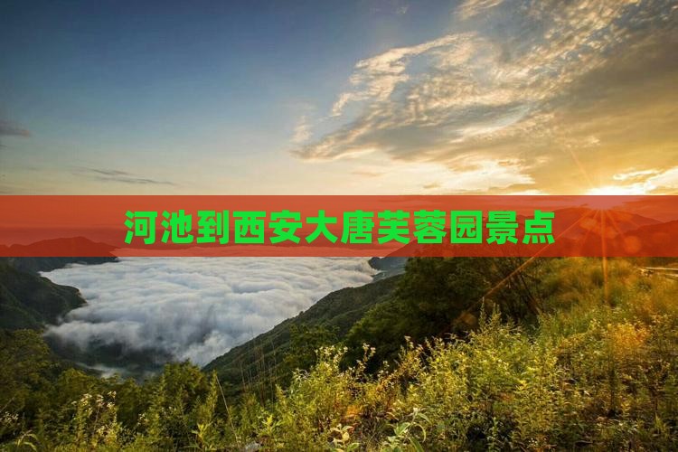 河池到西安大唐芙蓉园景点