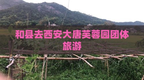 和县去西安大唐芙蓉园团体旅游