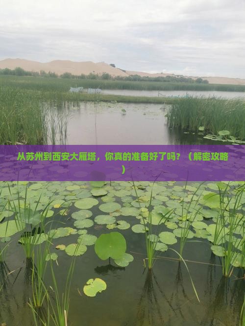 苏州到西安大雁塔景点