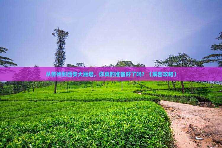 苏州到西安大雁塔景点