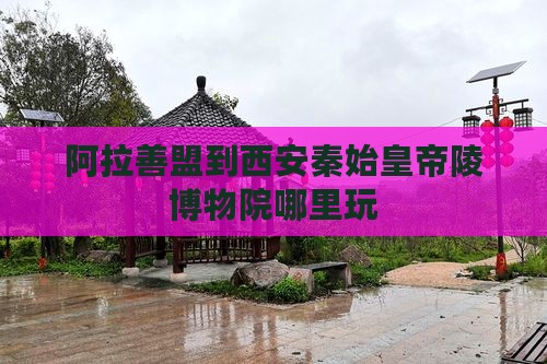 阿拉善盟到西安秦始皇帝陵博物院哪里玩