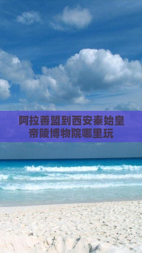 阿拉善盟到西安秦始皇帝陵博物院哪里玩