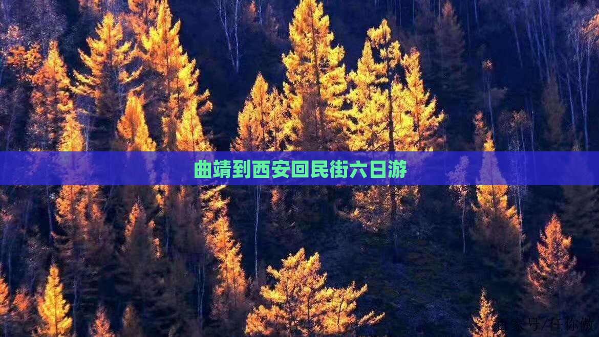 曲靖到西安回民街六日游