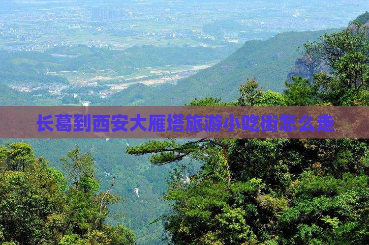 长葛到西安大雁塔旅游小吃