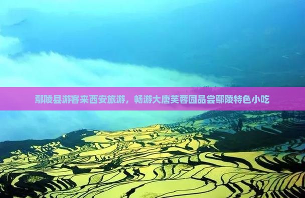 鄢陵县到西安大唐芙蓉园旅游小吃