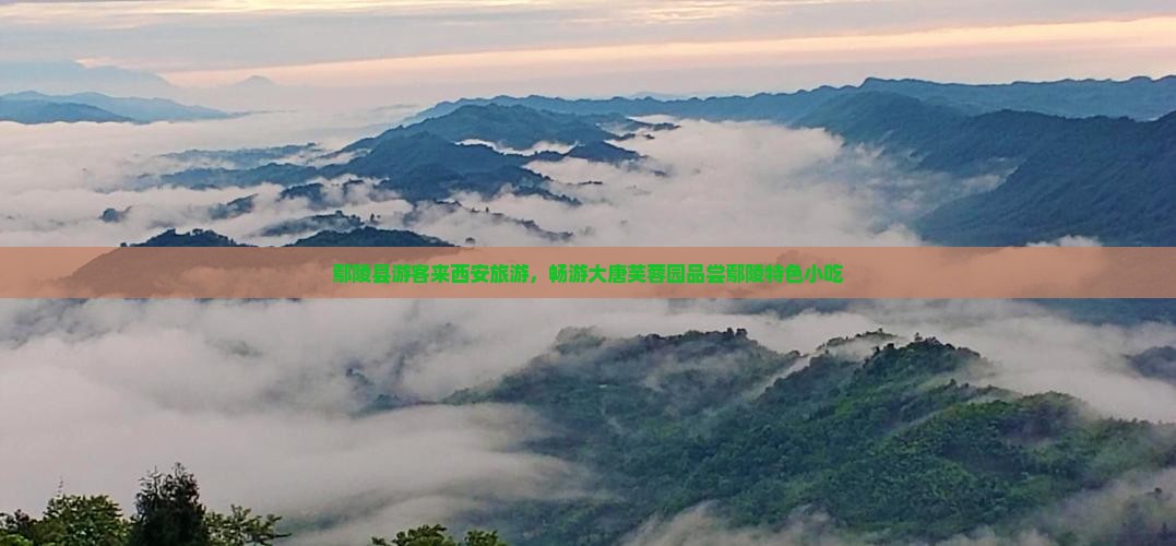 鄢陵县到西安大唐芙蓉园旅游小吃