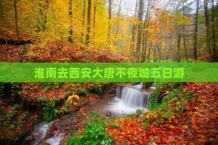 淮南去西安大唐不夜城五日游