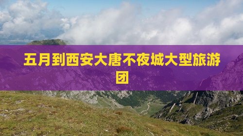 五月到西安大唐不夜城大型旅游团