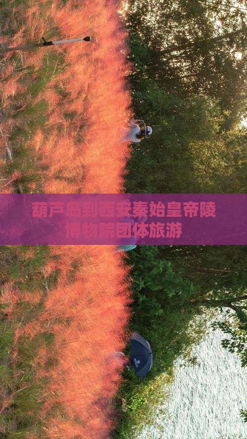 葫芦岛到西安秦始皇帝陵博物院团体旅游