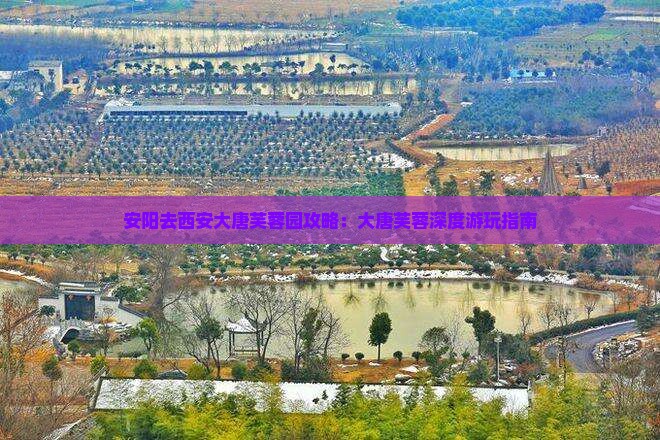安阳去西安大唐芙蓉园哪里玩
