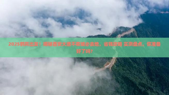 鹤岗到西安大唐不夜城必去地