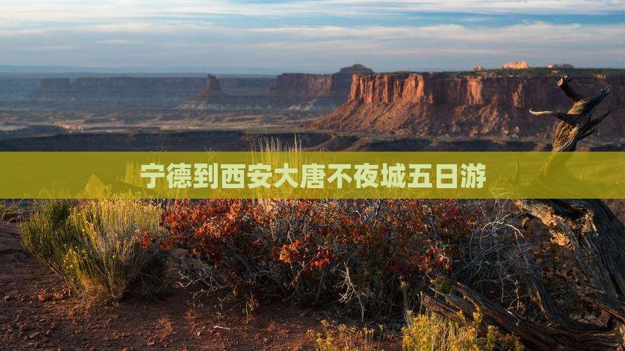 宁德到西安大唐不夜城五日游