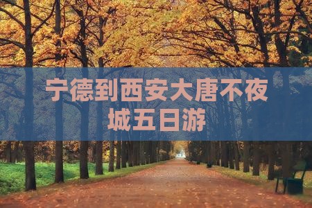 宁德到西安大唐不夜城五日游